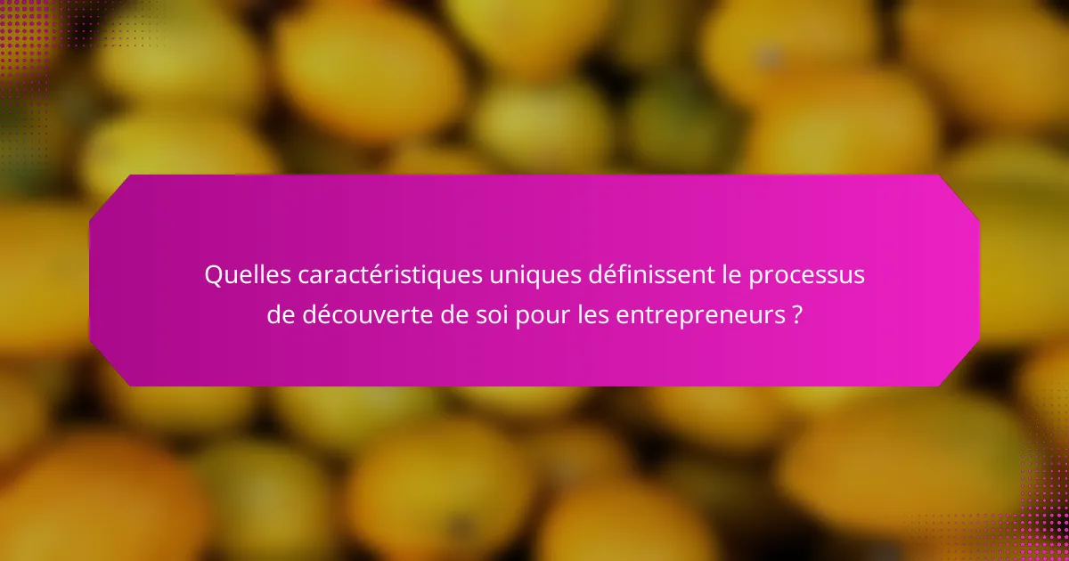 Quelles caractéristiques uniques définissent le processus de découverte de soi pour les entrepreneurs ?