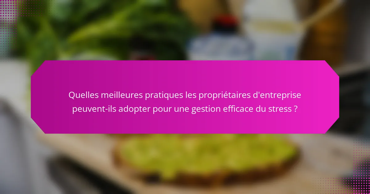 Quelles meilleures pratiques les propriétaires d'entreprise peuvent-ils adopter pour une gestion efficace du stress ?