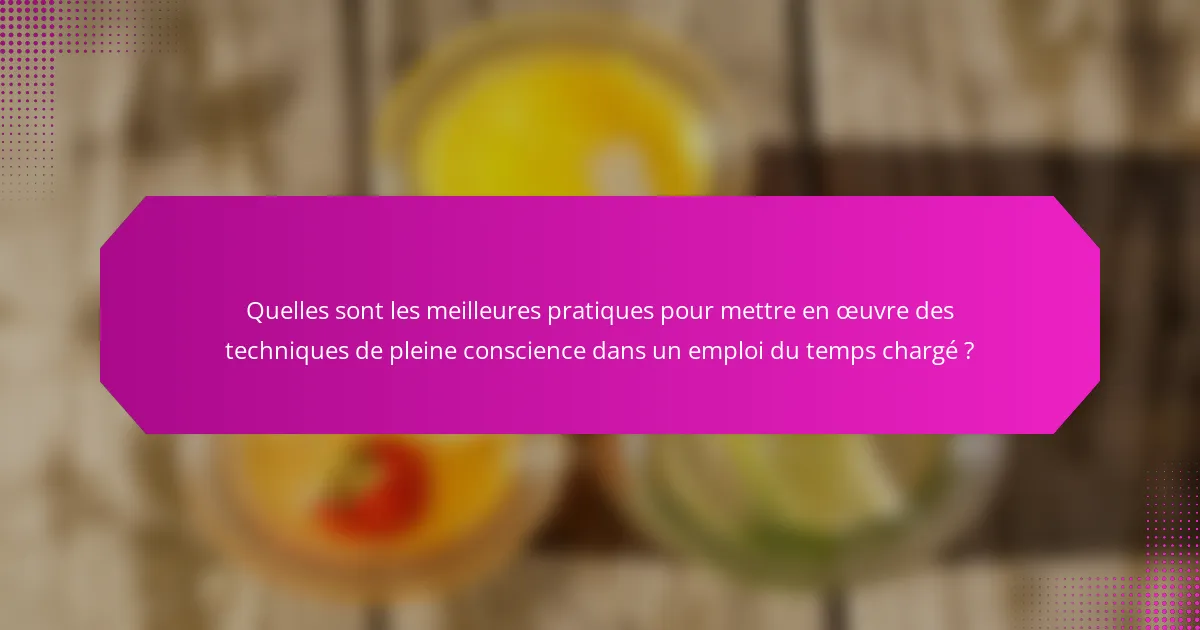 Quelles sont les meilleures pratiques pour mettre en œuvre des techniques de pleine conscience dans un emploi du temps chargé ?