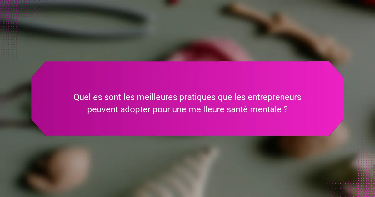Quelles sont les meilleures pratiques que les entrepreneurs peuvent adopter pour une meilleure santé mentale ?