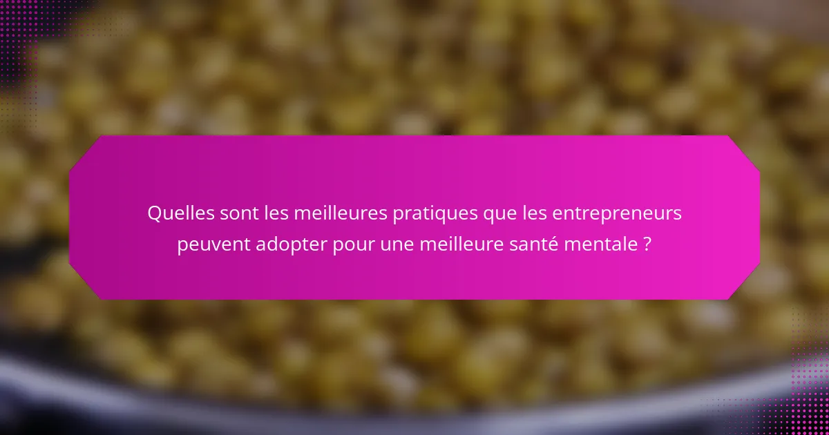 Quelles sont les meilleures pratiques que les entrepreneurs peuvent adopter pour une meilleure santé mentale ?