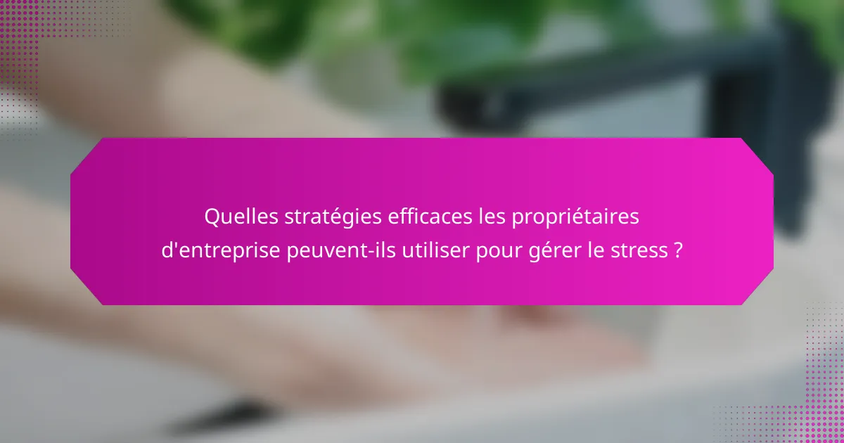 Quelles stratégies efficaces les propriétaires d'entreprise peuvent-ils utiliser pour gérer le stress ?