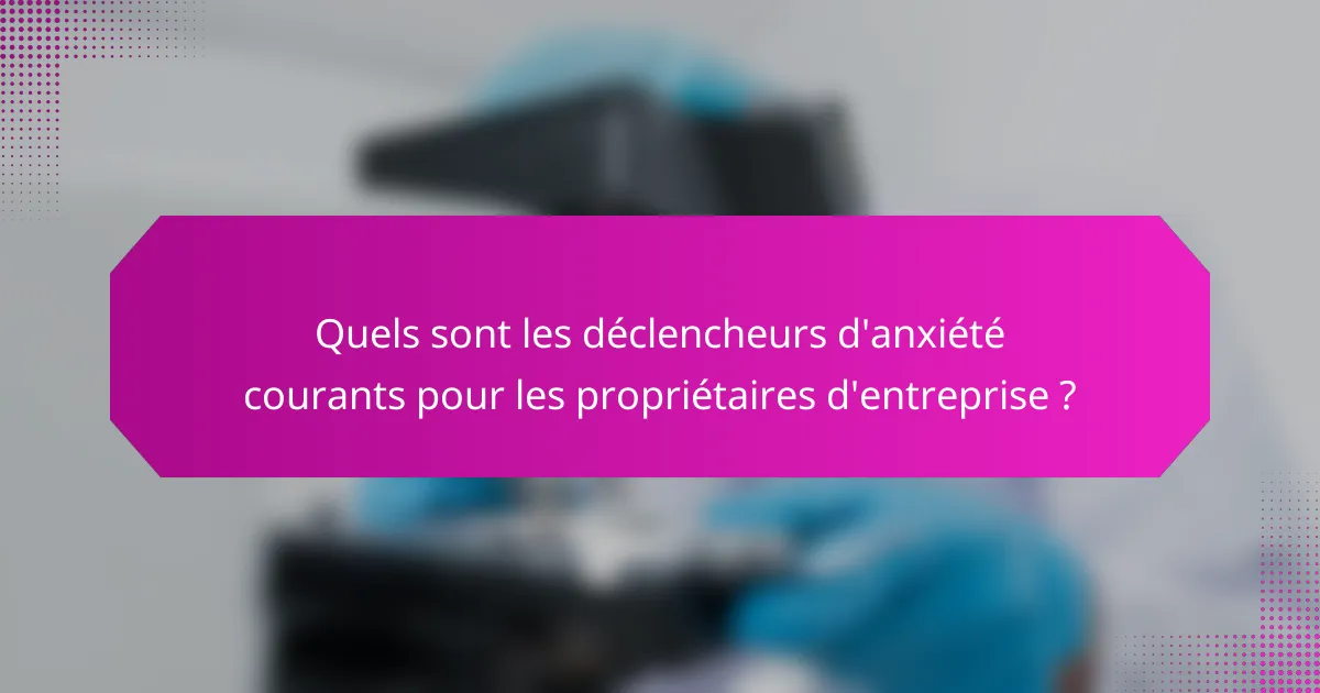 Quels sont les déclencheurs d'anxiété courants pour les propriétaires d'entreprise ?